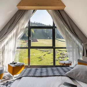 https://apartamenty-pod-stokiem-nosal-zakopane.zakopanehotels.org